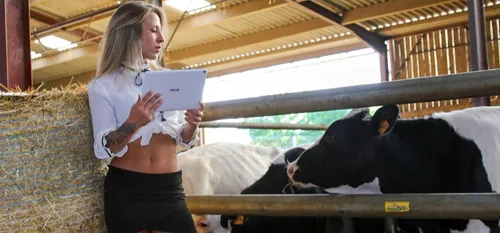 Le glamour est dans le pré