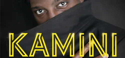 Kamini is back dans les bacs