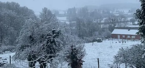 La Neige, Star de ce jeudi 14 janvier 2021