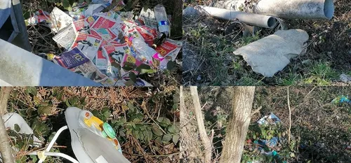 La colère des fourmisiens après la découverte de nouveaux dépôts...