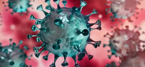 Une épidémie de la Covid-19 toujours sous contrôle en...