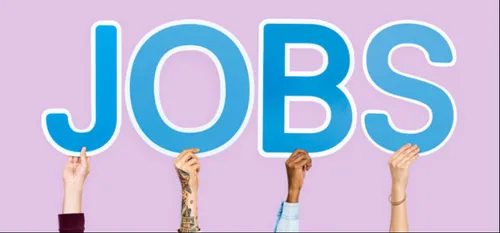 EMPLOI : la cité déchainée recrute