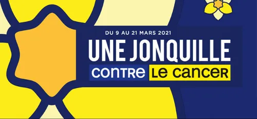 Une jonquille contre le cancer