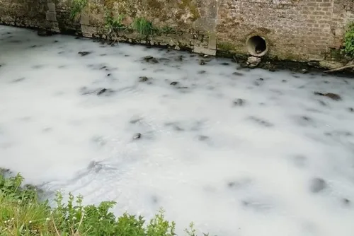 Pollution suspecte dans l’Helpe mineure entre Fourmies et Wignehies...