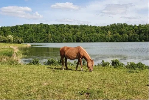 Sud-Avesnois / Thiérache : en bref pour ce jeudi 20 mai 2021