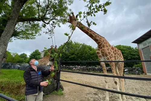 Maubeuge - Sept mois après, le Parc Zoologique a retrouvé son public