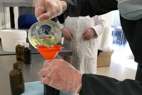 Des huiles essentielles produites en Avesnois ? Le projet de...