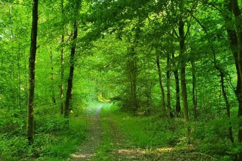 Avesnois / Pays de Mormal : en bref pour ce jeudi 10 juin 2021