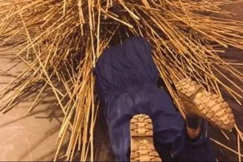 "Les Corps Bambou", un stage interdisciplinaire très bientôt au 232...