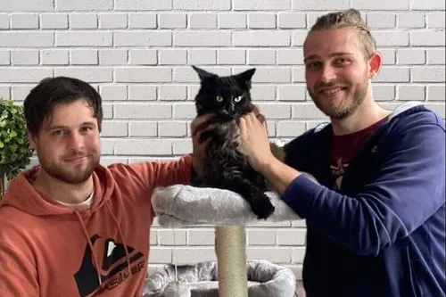 Maubeuge - Un bar à chats, le Cafélin, bientôt en centre-ville