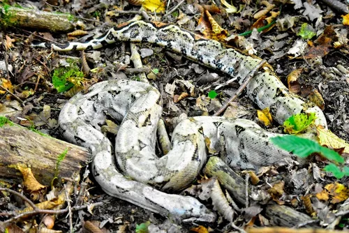 Avesnois / Pays de Mormal : en bref pour ce mercredi 20 octobre 2021