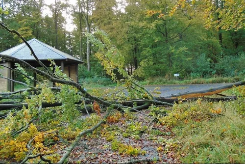 Sud-Avesnois / Thiérache : en bref ce vendredi 22 octobre 2021