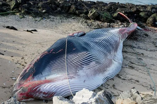 Sud-Avesnois / Thiérache : en bref ce mardi 9 novembre 2021