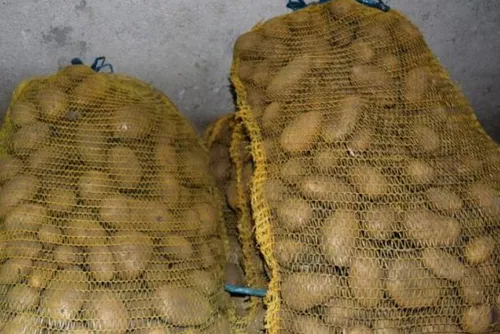 5 tonnes de pommes de terre bio distribuées aux plus de 70 ans à...