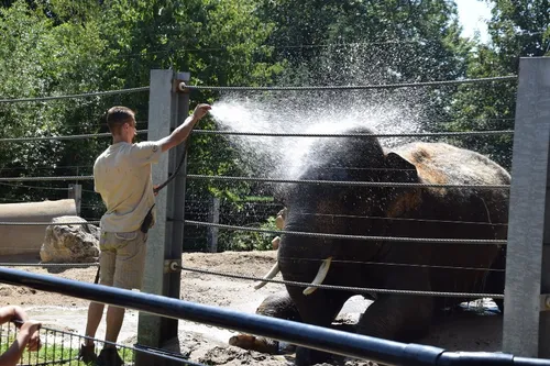 Zoo de Maubeuge - 105 000 entrées, des travaux et une nouvelle...