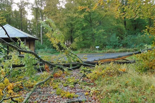 Avesnois / Pays de Mormal : en bref pour ce vendredi 3 décembre 2021