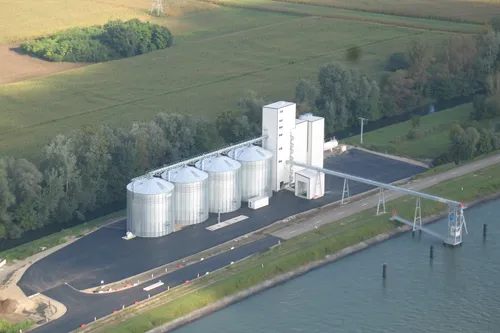 Phénix Rousies peut-il être sauvé ?