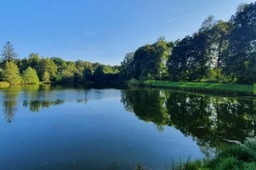 Ohain : un projet de création de brasserie pour relancer la pêche à...