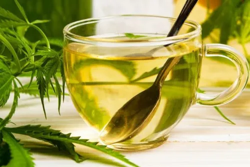 Interdiction du CBD en France - Deux Vendeurs sambriens réagissent