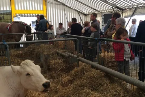 Aulnoye-Aymeries : le grand retour du salon des saveurs et du...