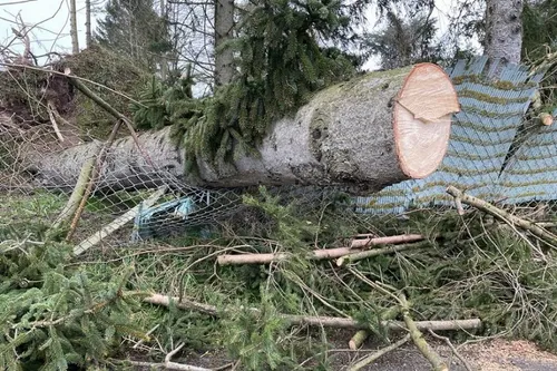 Avesnois / Pays de Mormal : en bref pour ce lundi 21 février 2022