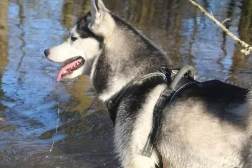 Avesnois / Pays de Mormal : en bref pour ce mercredi 23 février 2022