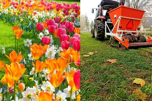 Fourmies : l'avenue Charles de Gaulle bientôt fleurie par 28 000...