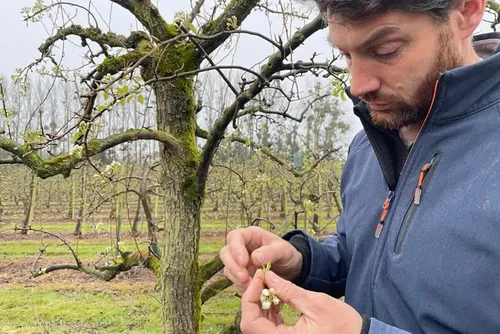 Avesnois / Pays de Mormal : en bref pour ce mercredi 6 avril 2022