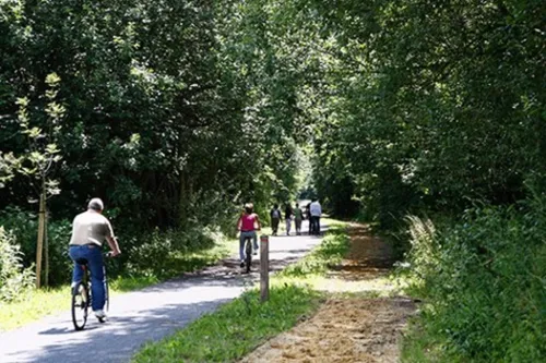 Sars-Poteries - Un obus de 45cm de long découvert près de la Voie...