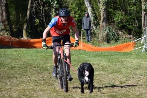Sud-Avesnois / Thiérache : en bref ce jeudi 14 avril 2022