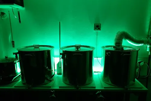 Le programme complet des « visites estivales » au Pays de Mormal 