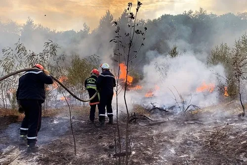 En bref ce vendredi 12 août 2022 dans le sud-Avesnois et en Thiérache