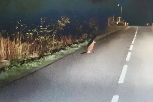 En bref ce mardi 23 août 2022 dans le Cœur de l’Avesnois et au Pays...