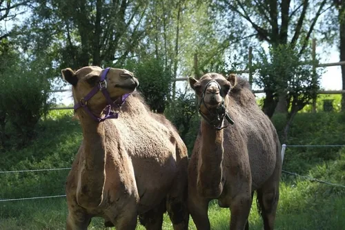 En bref ce jeudi 25 août 2022 dans le Cœur de l’Avesnois et au Pays...