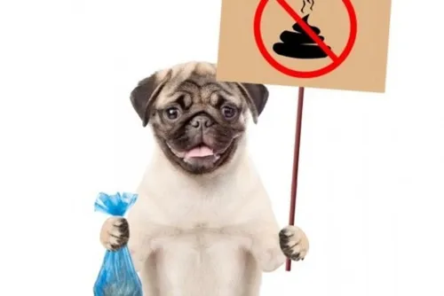 En bref ce vendredi 26 août 2022 dans le Cœur de l’Avesnois et au...