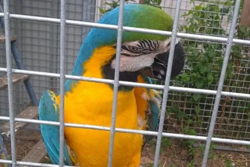 En bref ce mercredi 31 août 2022 dans le Cœur de l’Avesnois et au...