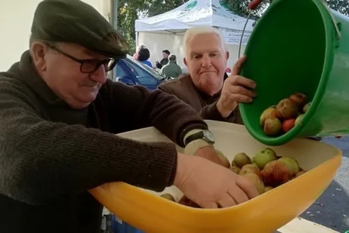 Récolte de pommes et de poires : le retour des pressées...
