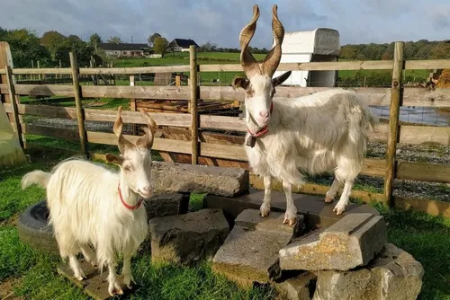 Anor : un appel aux dons, une recherche des bénévoles et une vente...