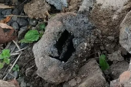 Feignies - Une grenade de la première guerre mondiale retrouvée...