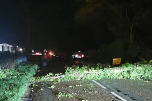 En bref ce vendredi 13 janvier dans le Cœur de l’Avesnois et au...