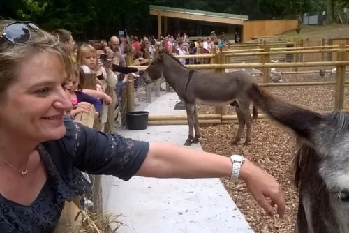 En bref ce jeudi 23 février 2023 dans le Cœur de l’Avesnois et au...