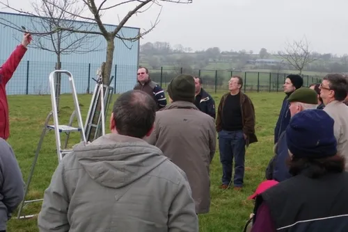 Des formations gratuites à la taille des arbres fruitiers jusqu'au...