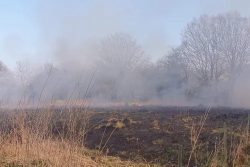 En bref ce lundi 6 mars 2023 dans le sud-Avesnois et en Thiérache
