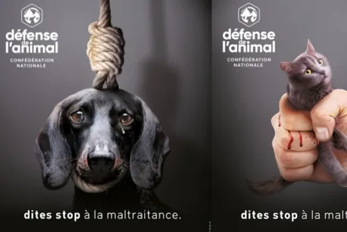 En bref ce vendredi 10 mars 2023 dans le Cœur de l’Avesnois et au...