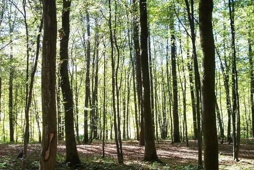 En bref ce mardi 11 avril 2023 dans le Cœur de l’Avesnois et au...