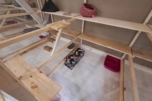 Féron : l’ouverture de la pension féline « Chat Féron’ron »