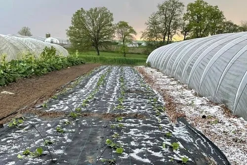 En bref ce mardi 16 mai 2023 dans le Cœur de l’Avesnois et au Pays...