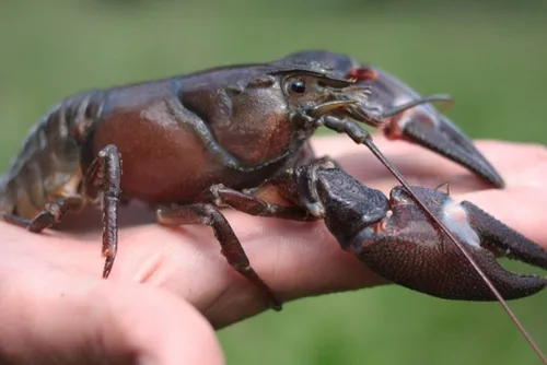 En bref ce mercredi 7 juin 2023 dans le Cœur de l’Avesnois et au...