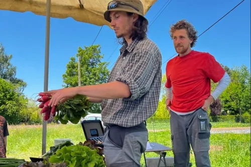 Maubeuge - Ils vendent des légumes et bientôt des fruits bio, près...
