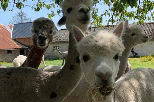 En bref ce mercredi 19 juillet 2023 dans le Cœur de l’Avesnois et...